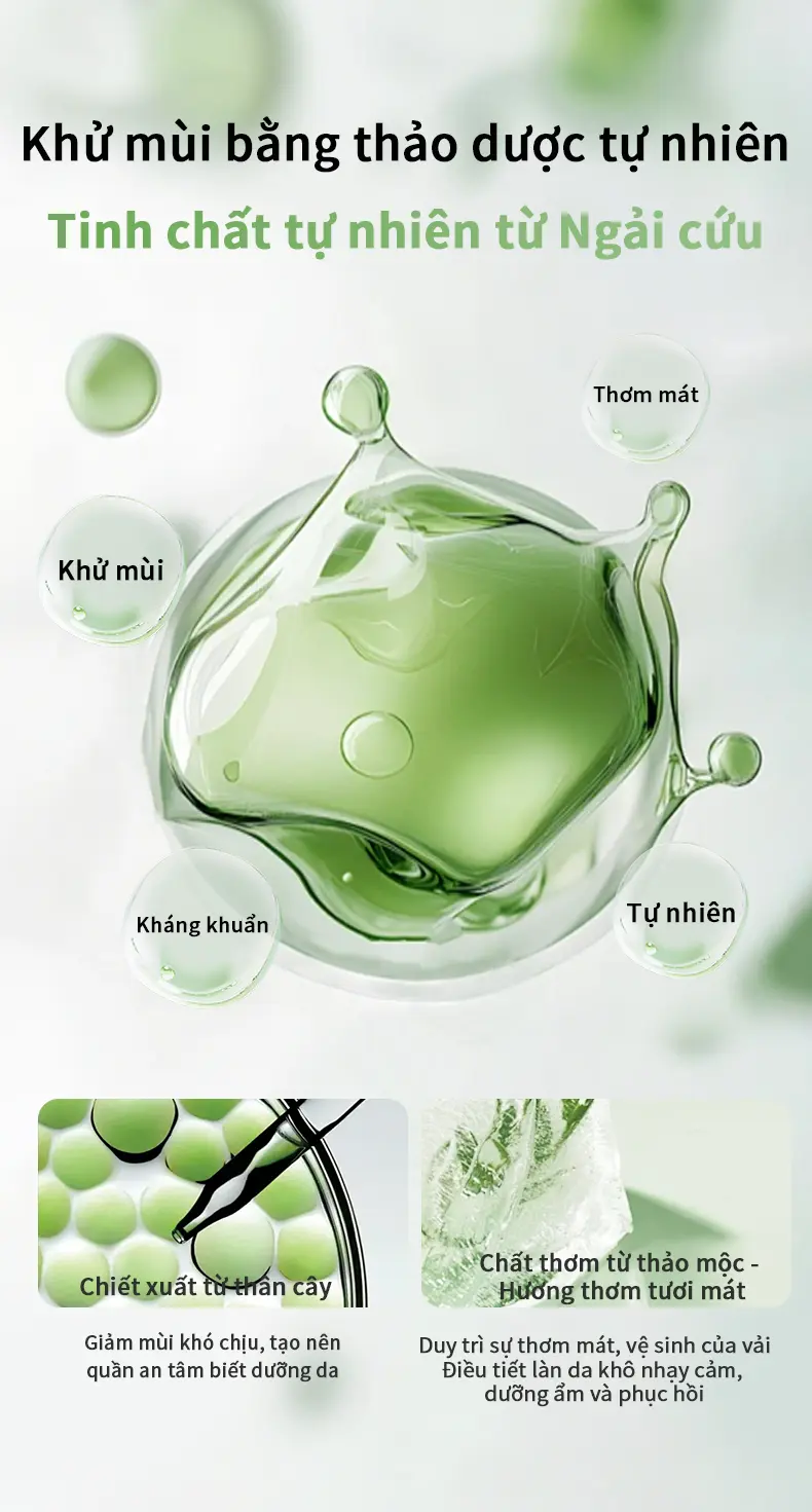 Băng vệ sinh dạng quần 10 miếng Ngải Tây